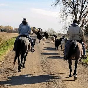 Meet your Posher, Jake